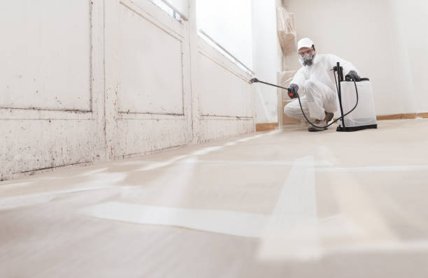 24/7 Emergency Mold Removal experts in Clinton, MI